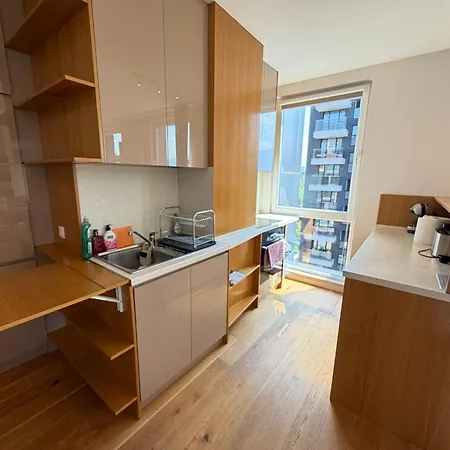 Zurich Spacious 2bdr W Paid Parking, Workdesk And Wifi דירה