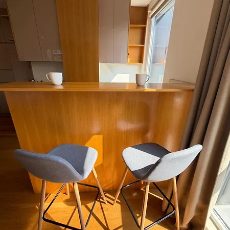 Zurich Spacious 2bdr W Paid Parking, Workdesk And Wifi