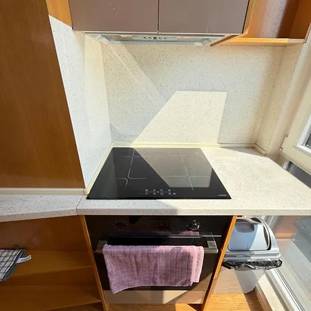 דירה Zurich Spacious 2bdr W Paid Parking, Workdesk And Wifi *