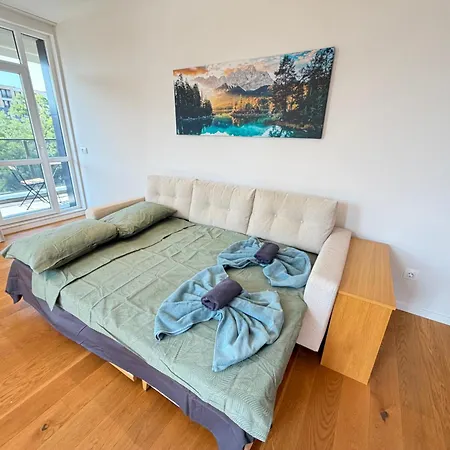 Zurich Spacious 2bdr W Paid Parking, Workdesk And Wifi דירה