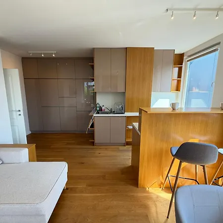 Zurich Spacious 2bdr W Paid Parking, Workdesk And Wifi דירה